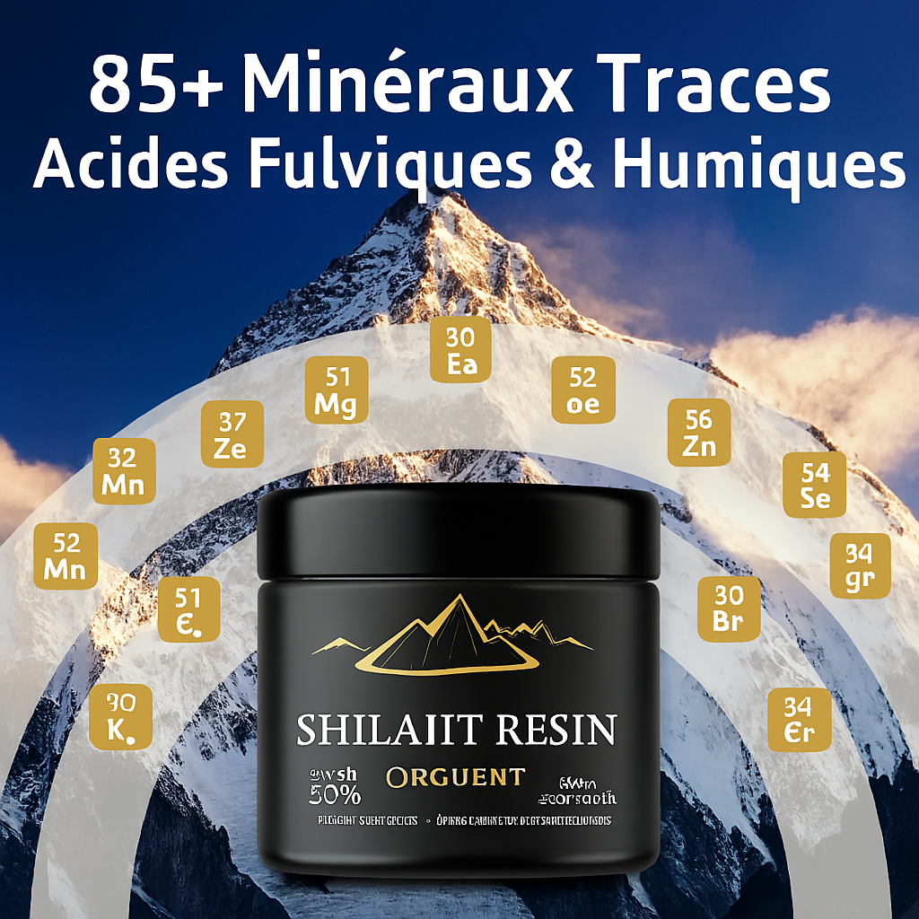 Shilajit Resin d'Himalaya