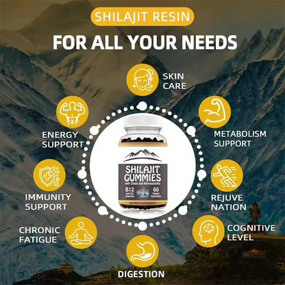 Shilajite Gummies