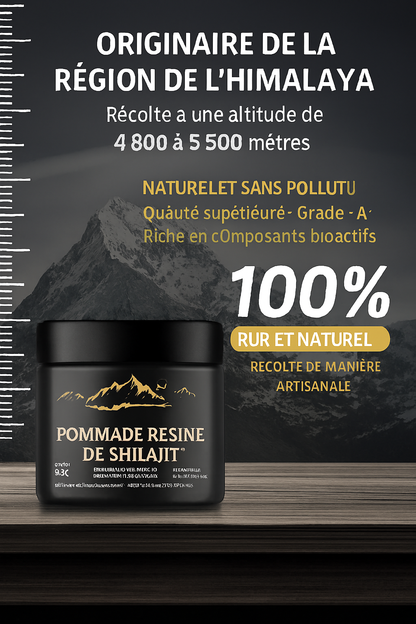 Shilajit Resin d'Himalaya