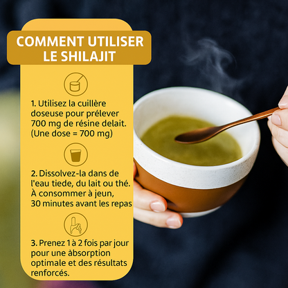 Shilajit Resin d'Himalaya