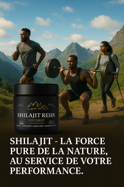 Shilajit Resin d'Himalaya