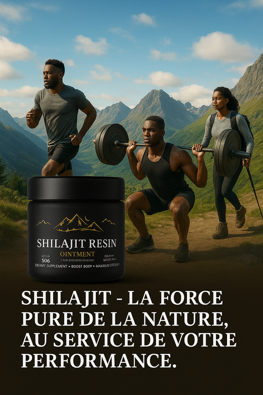 Shilajit Resin d'Himalaya